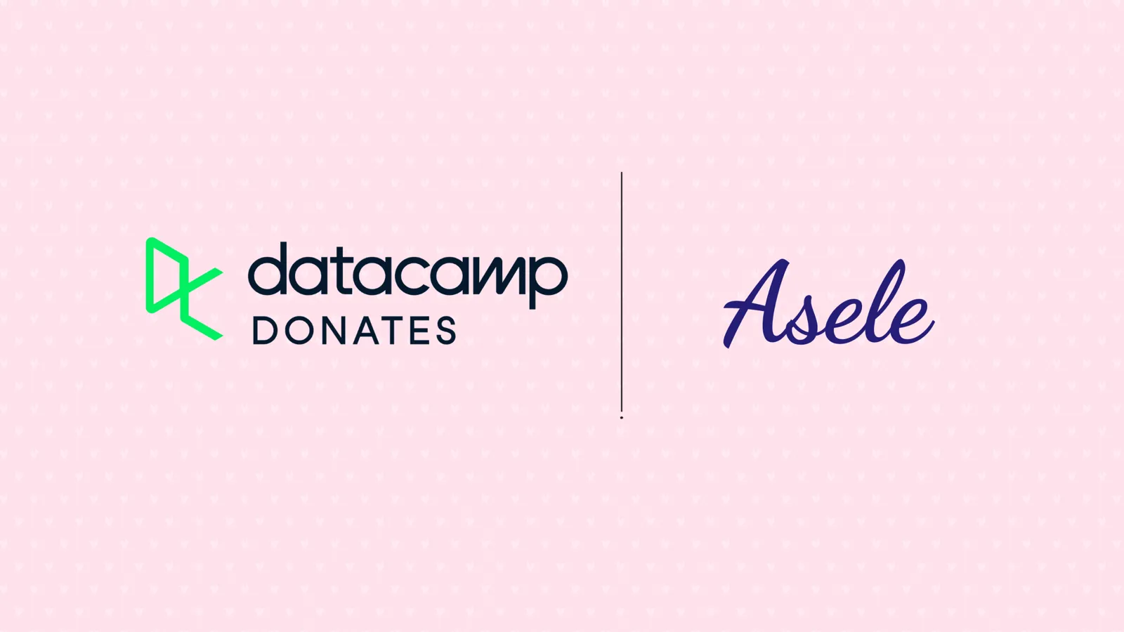 Why We're Bringing Data Education Into Women's Health at Asele, With DataCamp Donates
