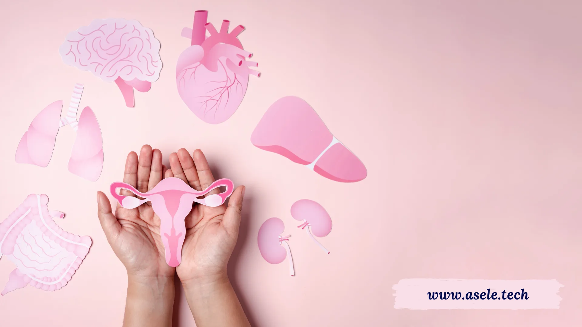 Endometriosis Explained: Symptoms, Diagnosis, and Treatment Options
