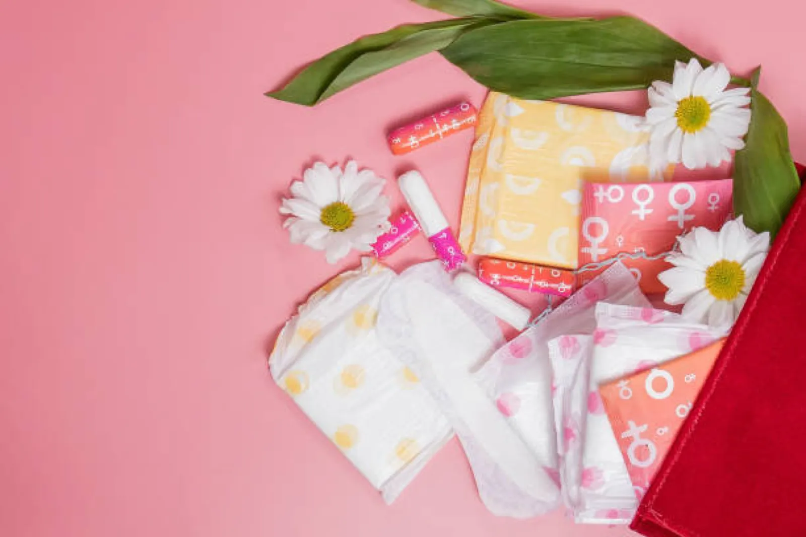 Every Period Product Option Explained: Find What Works for Your Body, Budget, and Planet