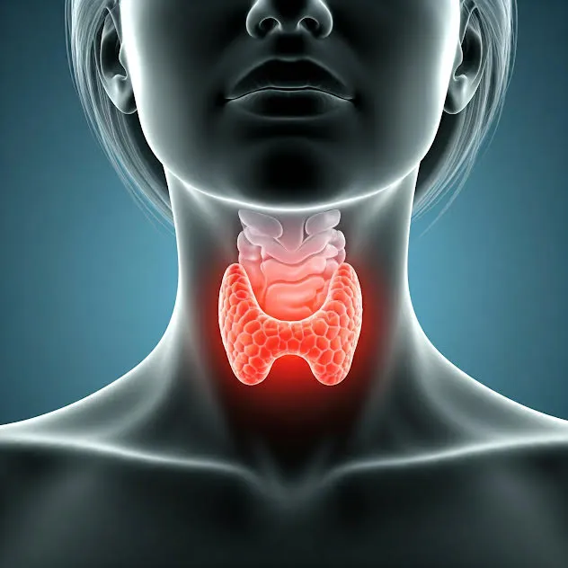 How Does Your Thyroid Affect Your Period