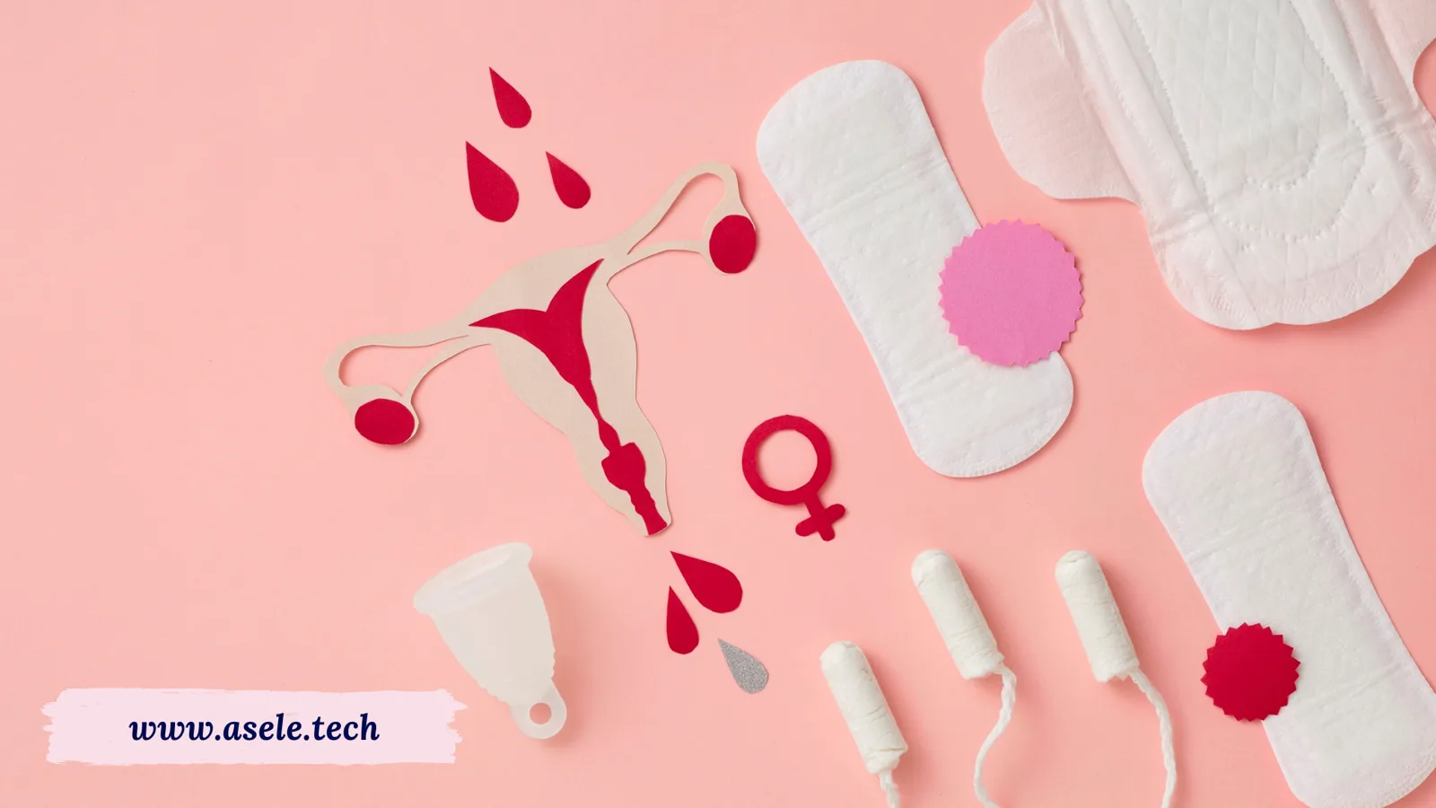 Women's Health Is More Than Fertility